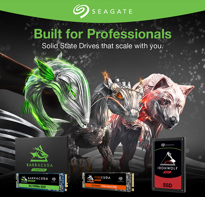 Seagate SSD