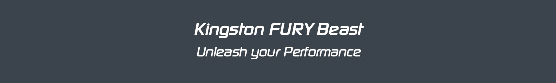 Kingston FURY Beast
