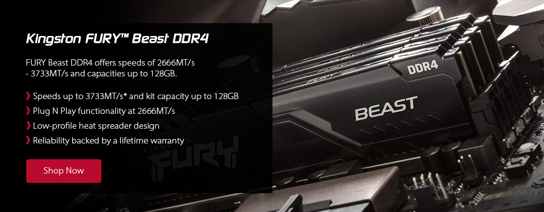 Kingston FURY Beast DDR4