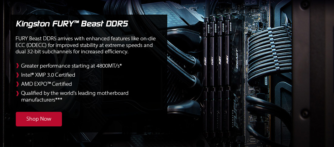 Kingston FURY Beast DDR5
