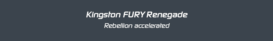 Kingston FURY Renegade