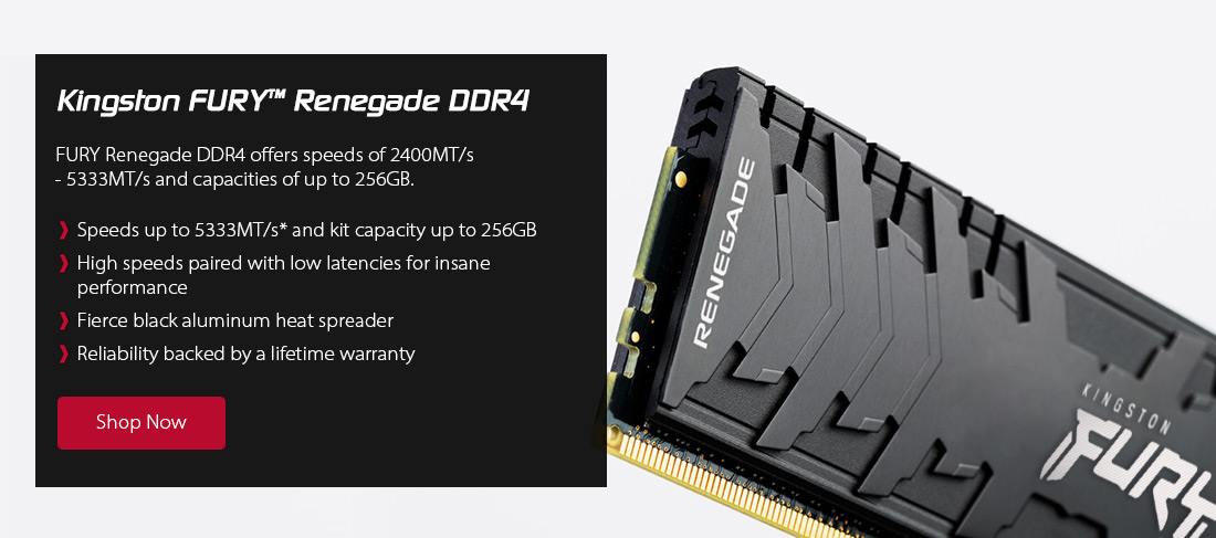 Kingston FURY Renegade DDR4