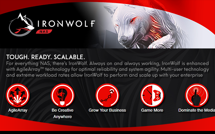 Seagate Guardian Series